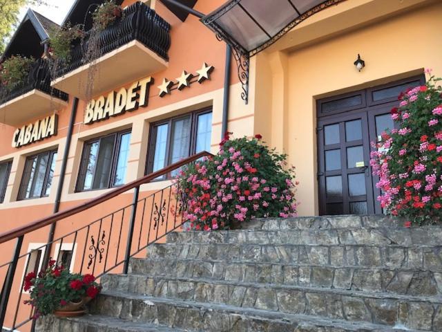 Pensiunea Turistica Cabana Bradet Şimleu Silvaniei Exterior foto