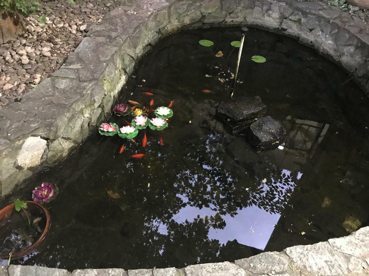 Pensiunea Turistica Cabana Bradet Şimleu Silvaniei Exterior foto