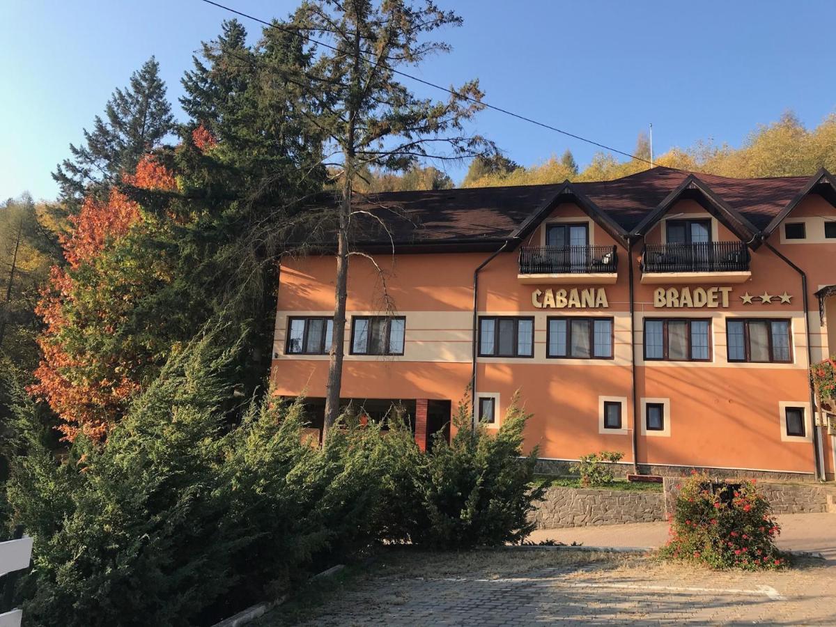 Pensiunea Turistica Cabana Bradet Şimleu Silvaniei Exterior foto